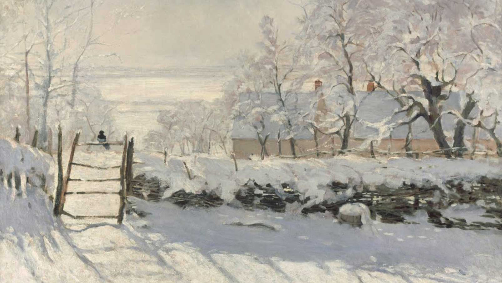 Sun shines on snow