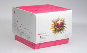 Teaposy butterfly blooming tea box