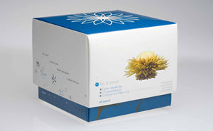 Teaposy let it snow flowering tea with coconut flakes, 6 in a box
