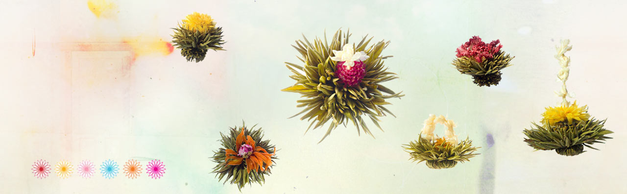 A collection of six unique Teaposy teas in bloom