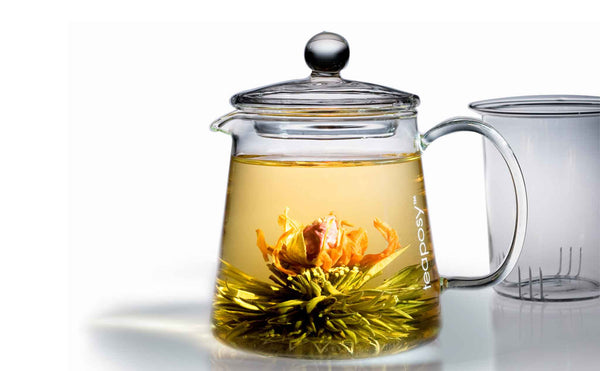 Teaposy Socrates Double Walled Glass Teapot – Vacuum Direct