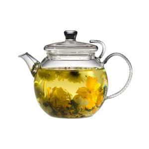 https://teaposy.com/cdn/shop/products/GL2670-1-daydream-glass-teapot_300x.jpg?v=1587244467