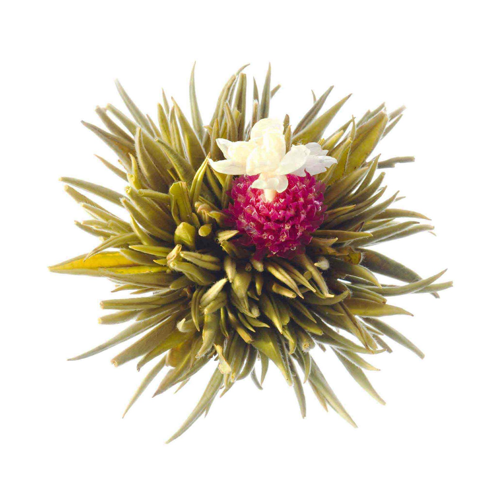 Teaposy butterfly blooming tea, with jasmine flower and amaranth