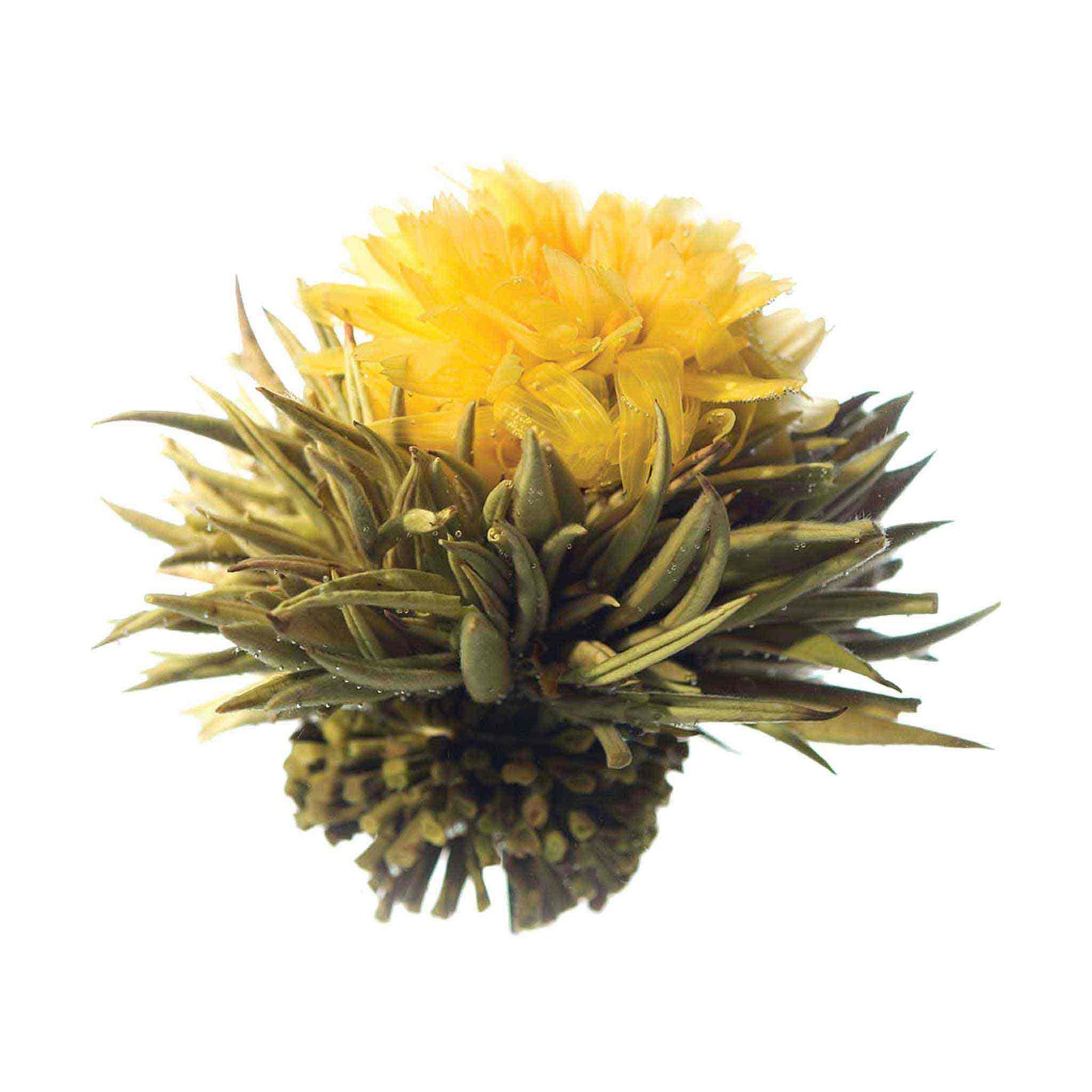 Teaposy calendula blooming tea, with silver needle white tea and calendula flower