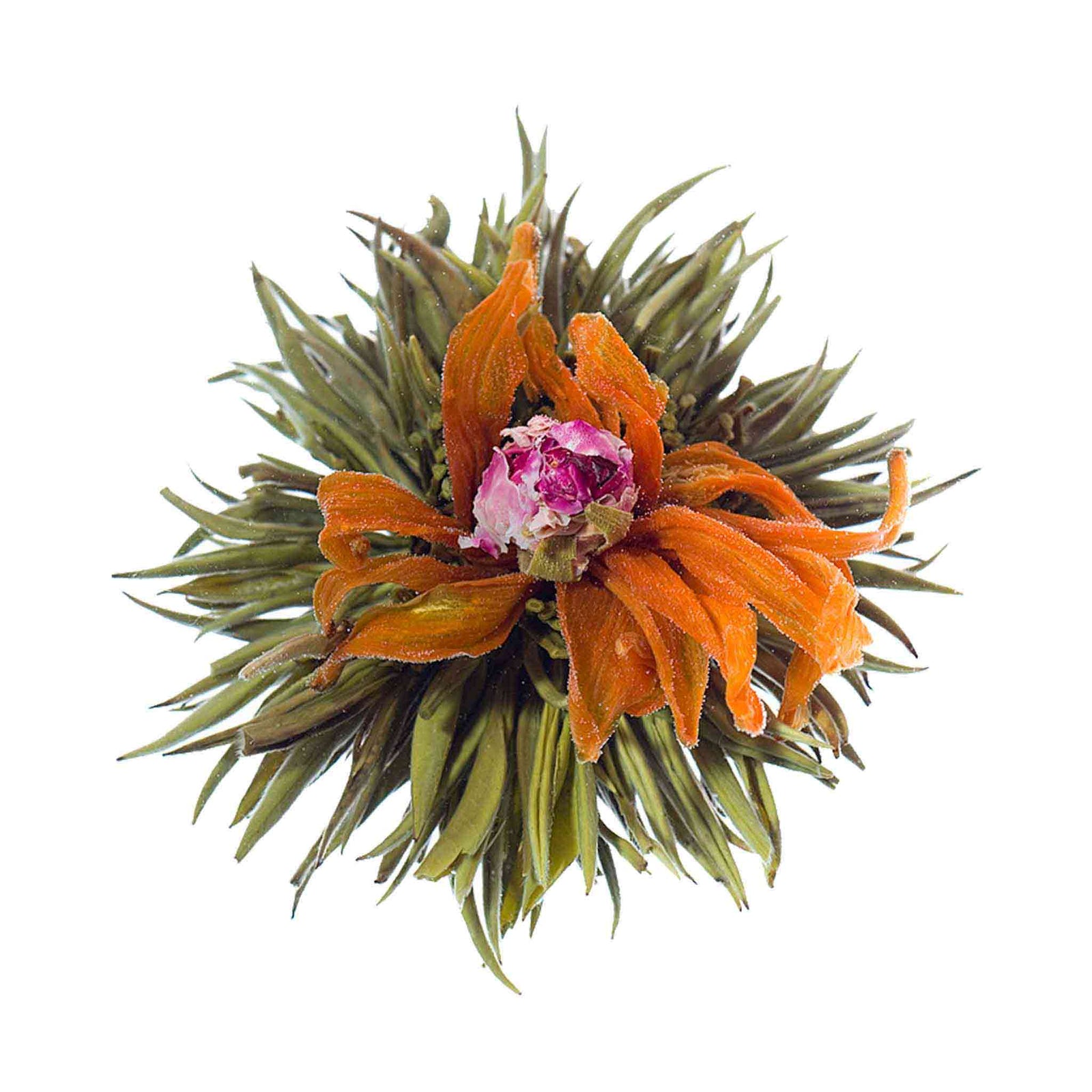 Teaposy heart of love blooming tea, with rose and lily