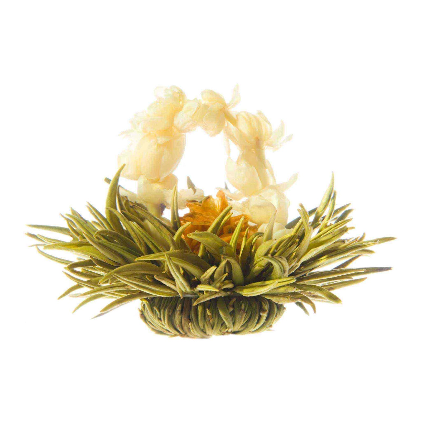 Teaposy lady fairy blooming tea, with jasmine flower and lily