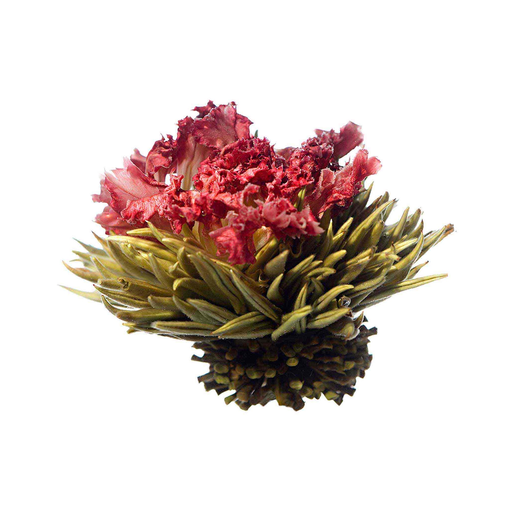 teaposy red song blooming tea, with silver needle white tea and carnation flower