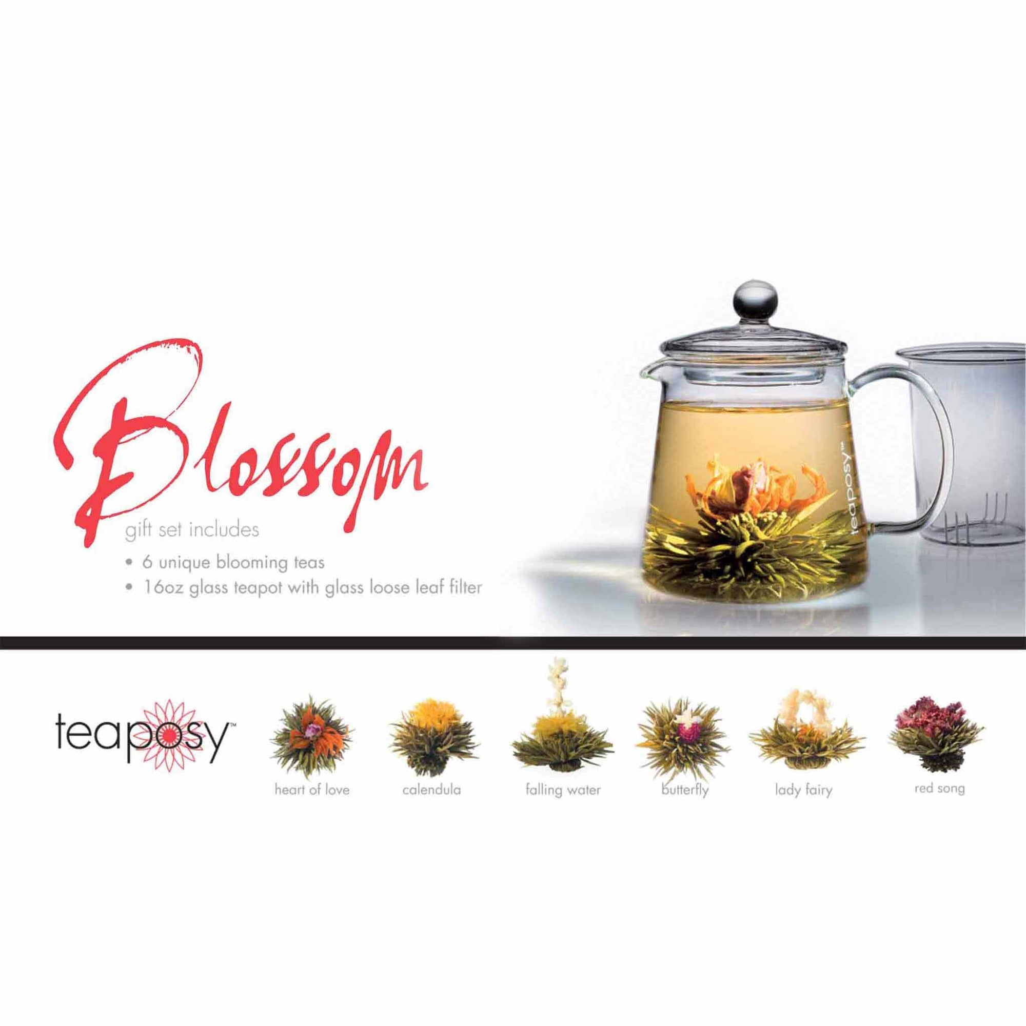 Teaposy blossom gift set showing six unique blooming teas with the tea-for-two glass teapot